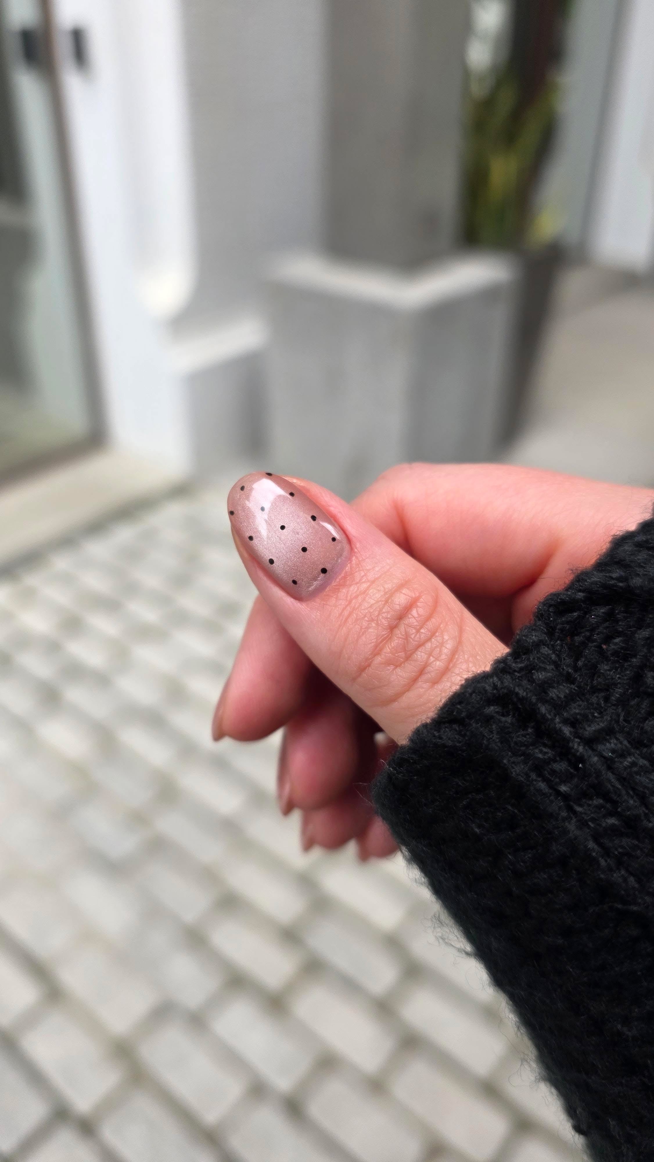 Gel polish Cat eye 001