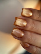 Gel polish Cat eye 004